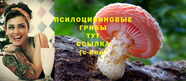 метадон Лиски