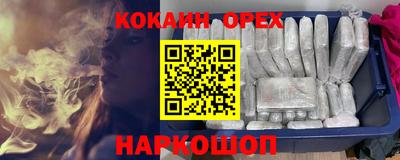 кокс Гатчина