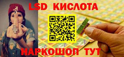кокс Гатчина