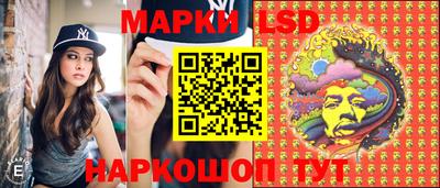 кокс Гатчина