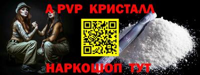 кокс Гатчина