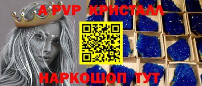 кокс Гатчина