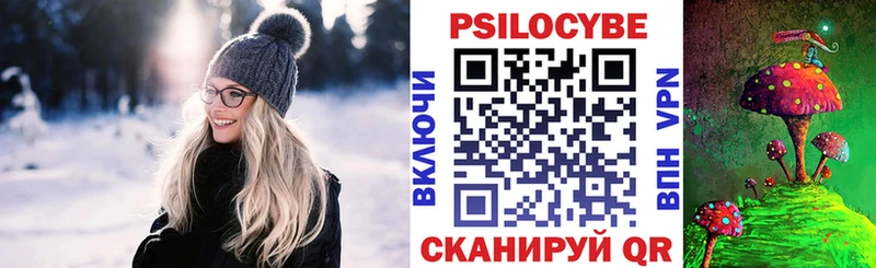 Псилоцибиновые грибы Psilocybine cubensis  купить  цена  Санкт-Петербург 